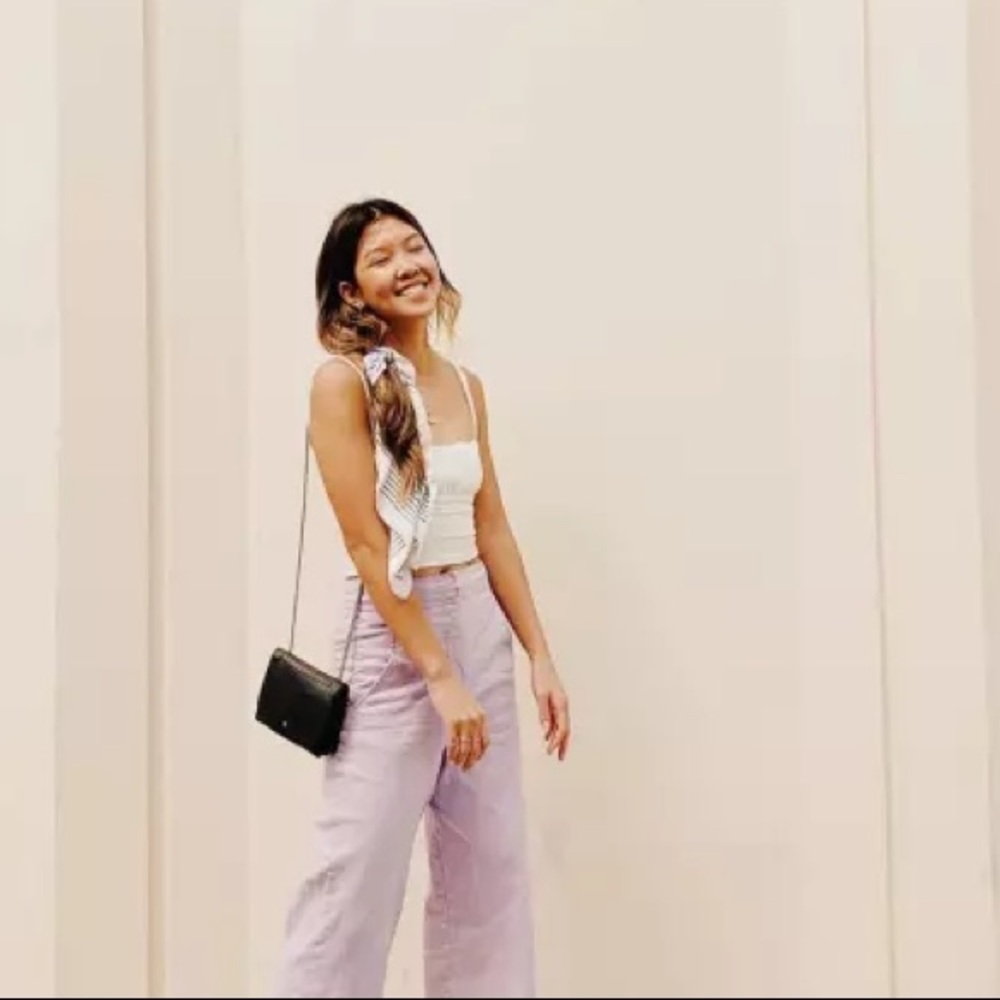 Madewell 29 Emmett Wide-Leg Crop Pants purple lavender culottes